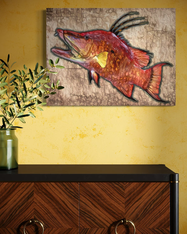 "Hogfish"
