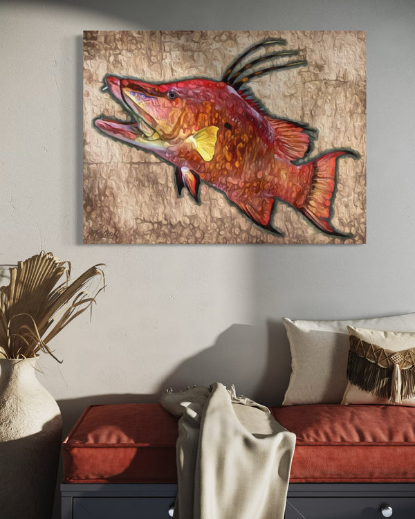 "Hogfish"