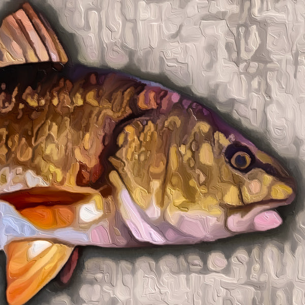 "Rustic Redfish"