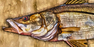 snook fish snooky art print john mclean slickfish