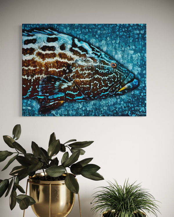 "Black & Blue"