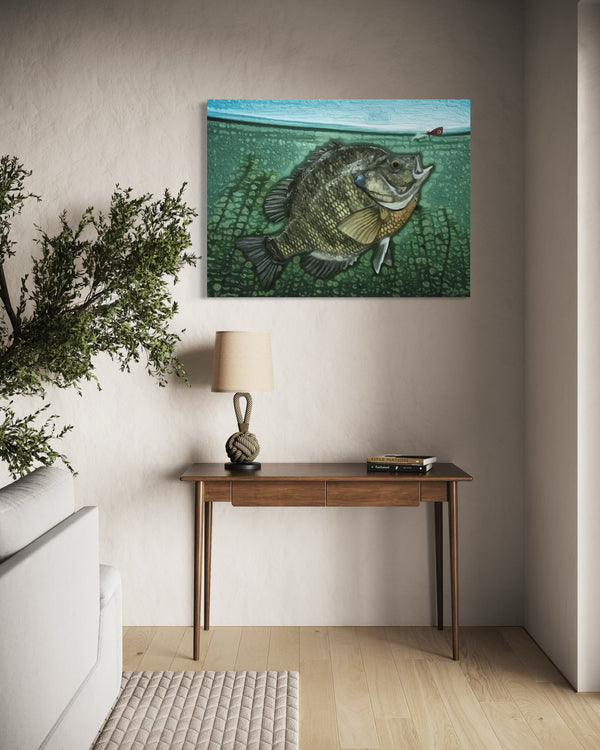 "Bluegill"