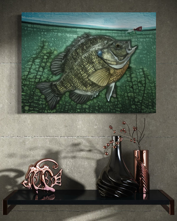"Bluegill"