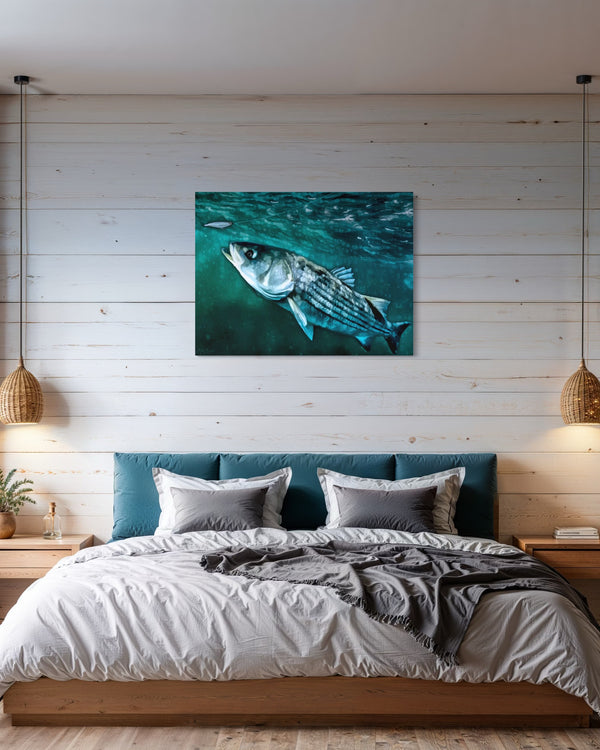"Streamer Striper"
