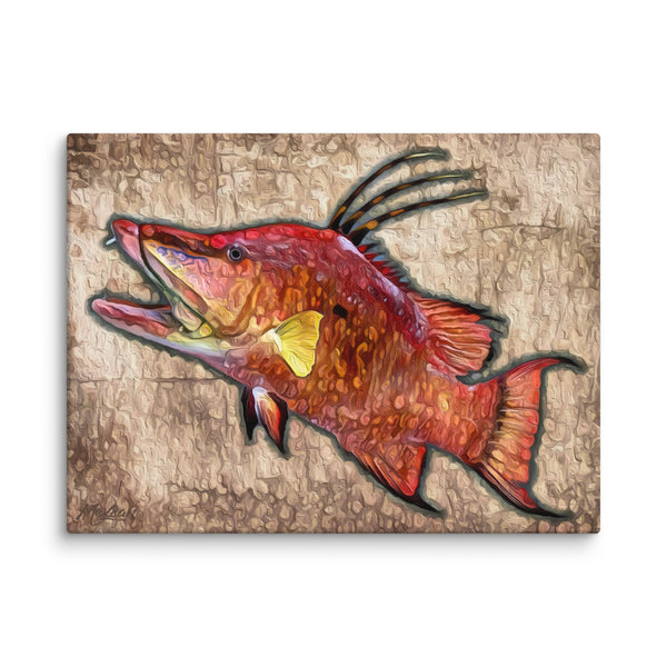 "Hogfish"