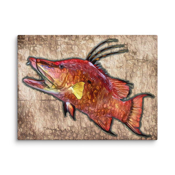 "Hogfish"