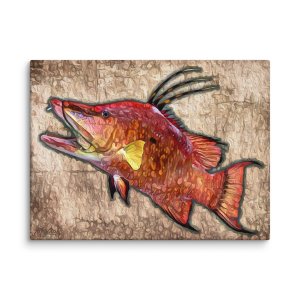 "Hogfish"