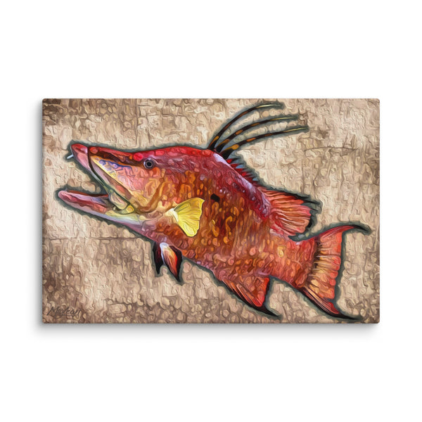 "Hogfish"