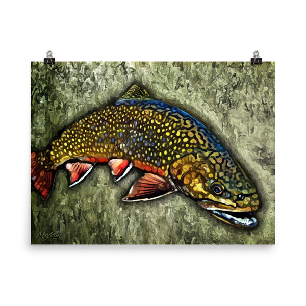 "Backroads Brookie"