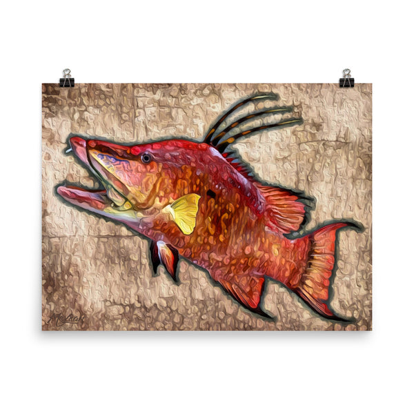 "Hogfish"