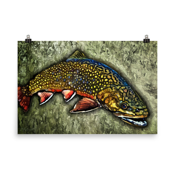 "Backroads Brookie"